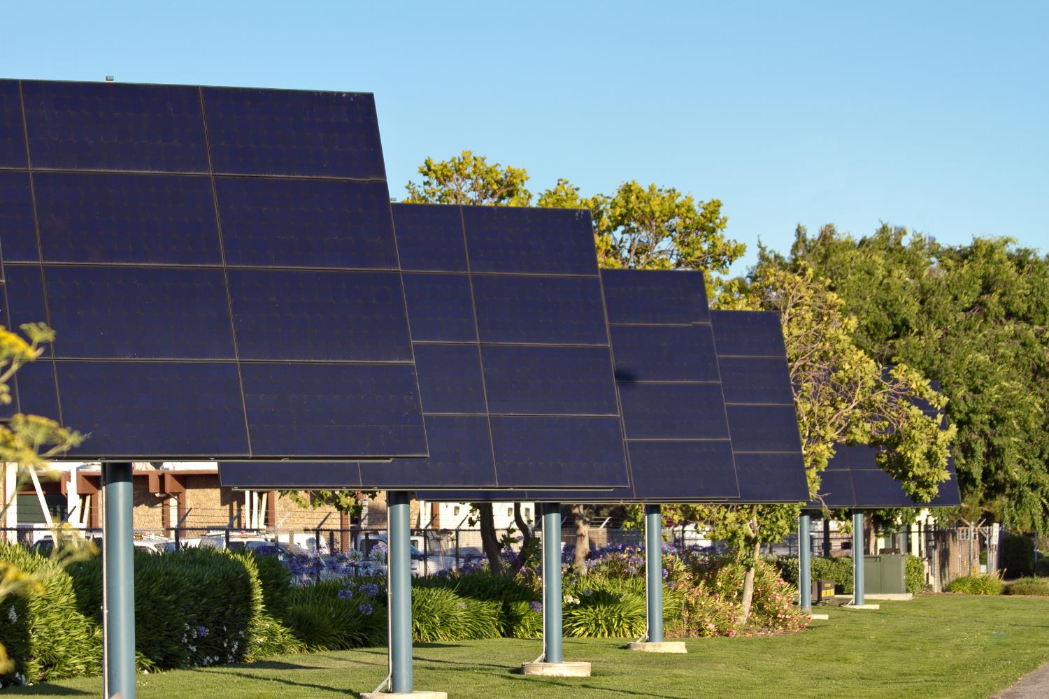 MSC Solar trackers.jpg