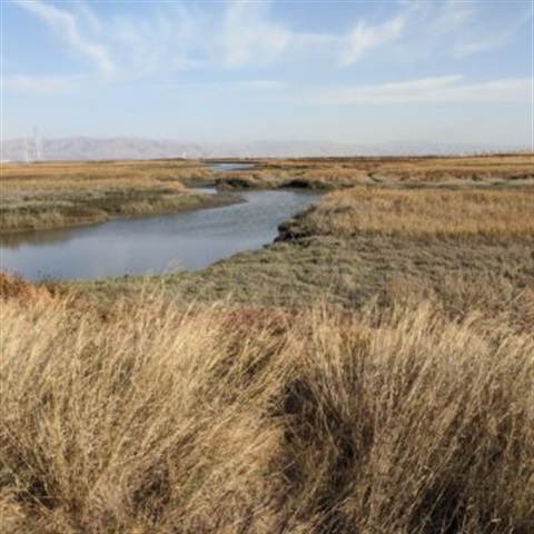 PAHLPP-image-002.jpg