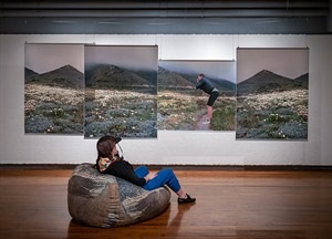 rios_superbloom-1.jpg
