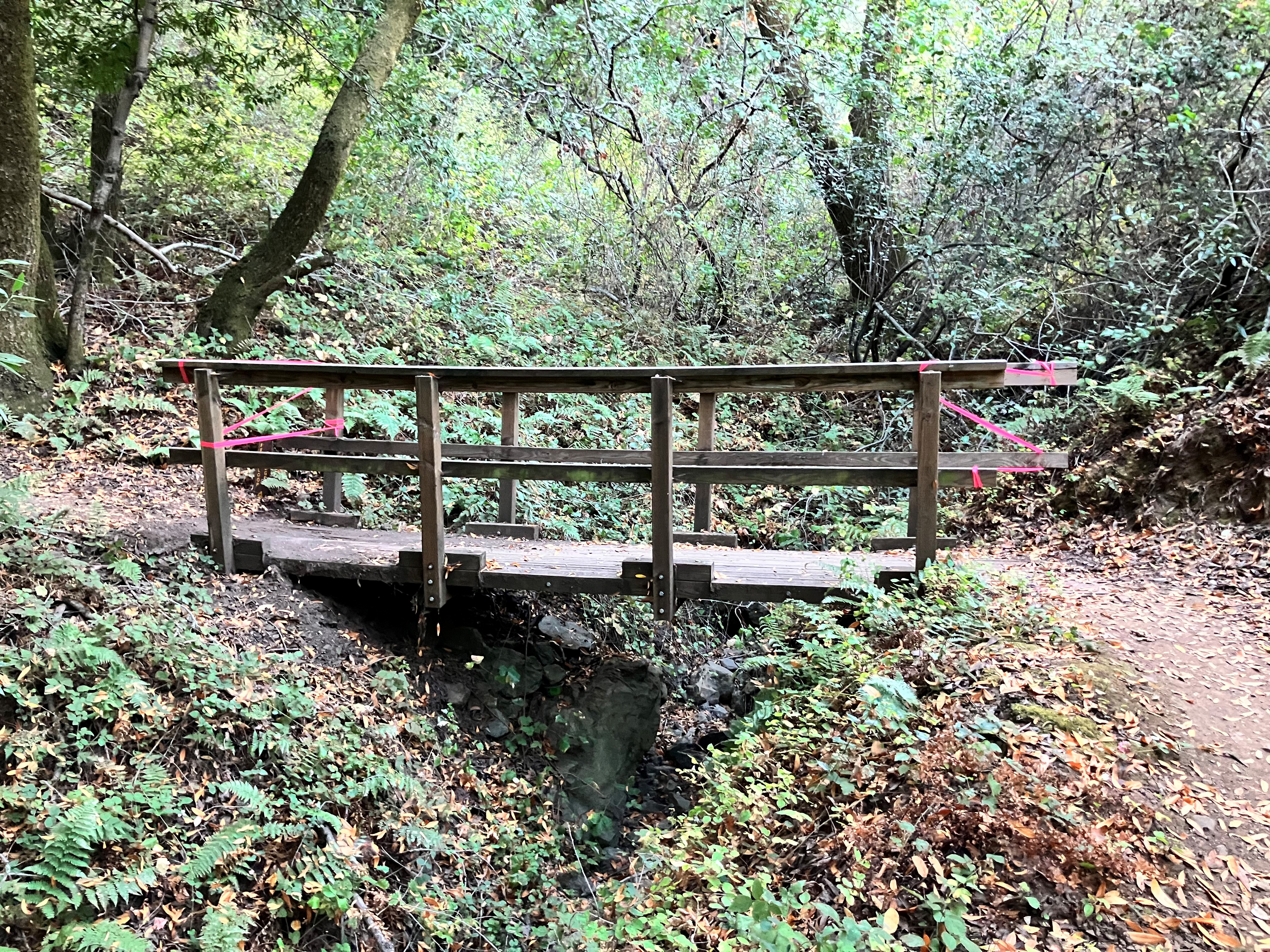 Photo of Bridge 4