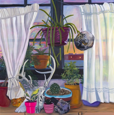 image of plants on a windowsill