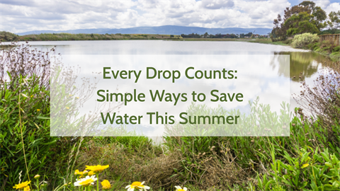 Every Drop Counts Simple Ways to Save Water This Summer.png