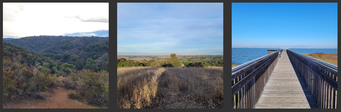 photos of palo alto nature preserves